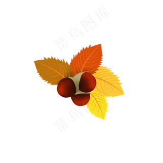 24节气之立秋植物