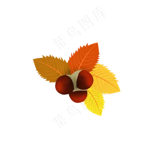 24节气之立秋植物