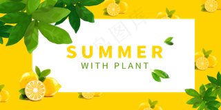 夏日水果装饰边框柠檬