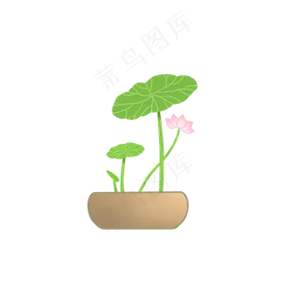 荷叶荷花盆景盆栽PNG