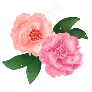 简约创意手绘风粉色鲜花月季玫瑰