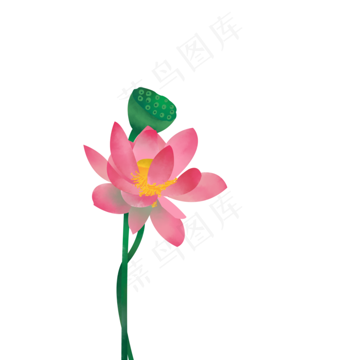 夏至手绘莲花免费下载(2000X2000(DPI:300))psd模版下载
