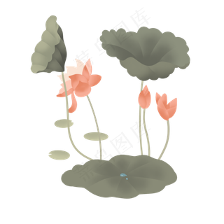 小暑大暑清凉夏天荷叶莲花