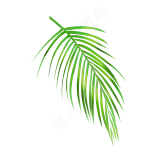 春天绿色水彩树叶