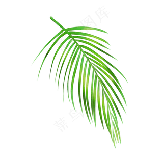 春天绿色水彩树叶