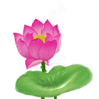 清新朝气的水彩荷花