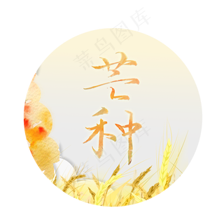 节气芒种黄色创意二十四节气艺术字