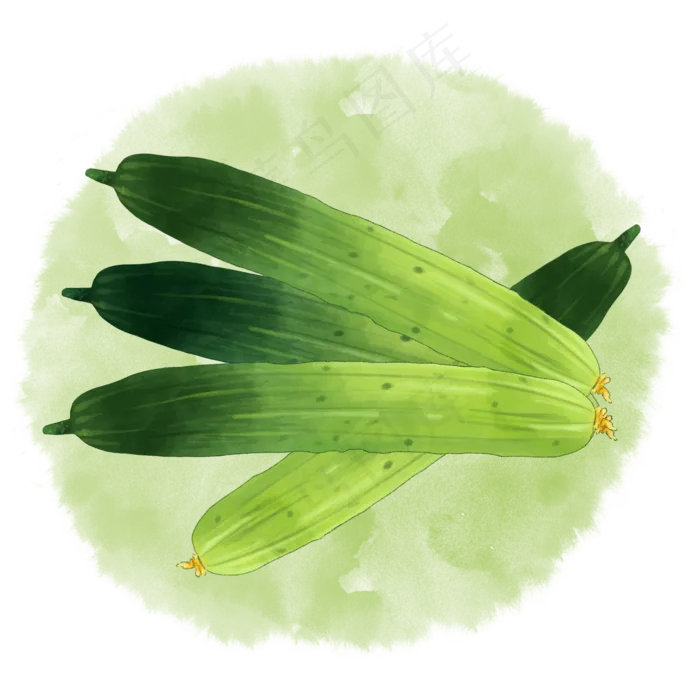 水彩蔬菜黄瓜下载(2000X2000(DPI:300))psd模版下载