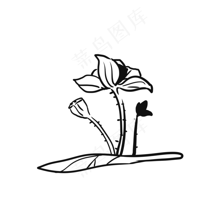 荷花线性中国风风格线条绘制(2000X2000(DPI:299))psd模版下载