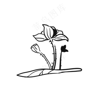 荷花线性中国风风格线条绘制