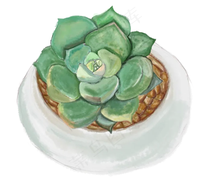 清新多肉植物彩色绿色植物盆栽png,免抠元素(3324X2860(DPI:300))psd模版下载