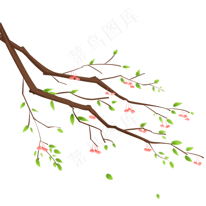 手绘小清新树枝树叶小花朵金丝吊,免抠元素