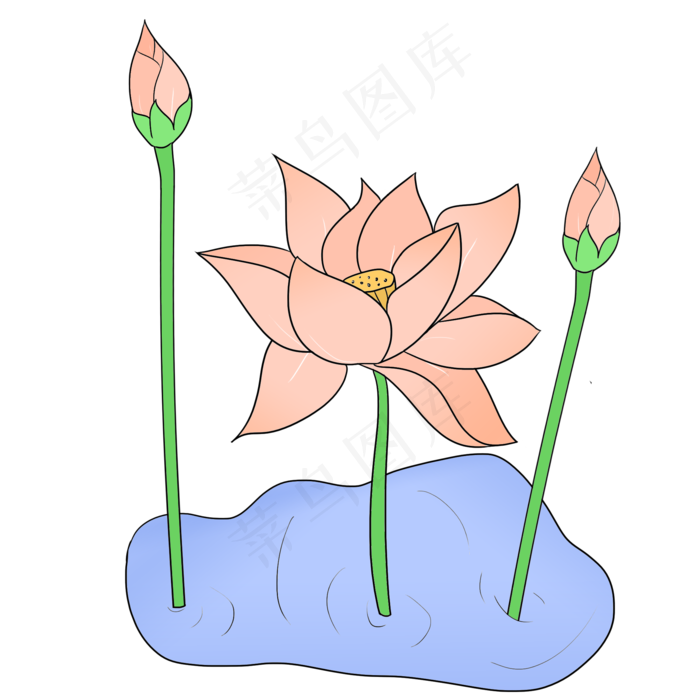 粉色花苞荷花插画