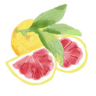水彩小清新水果柠檬