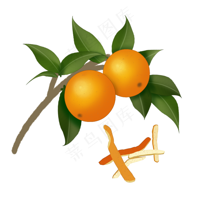 果实养成插图装饰,免抠元素