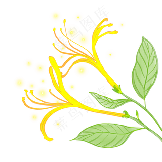 光感彩色荧光唯美金银花,免抠元素