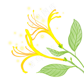 光感彩色荧光唯美金银花,免抠元素
