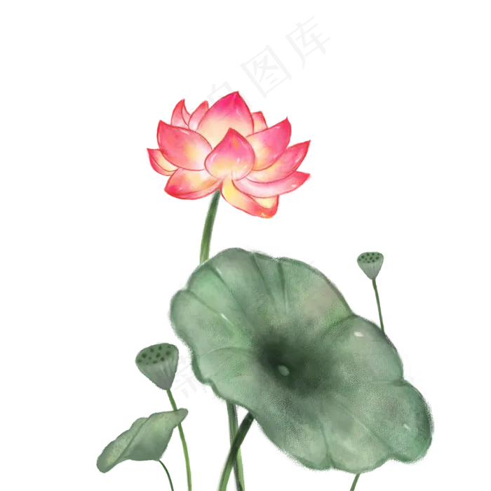 中国风荷花,免抠元素(2000*2000px 300 dpi )psd模版下载