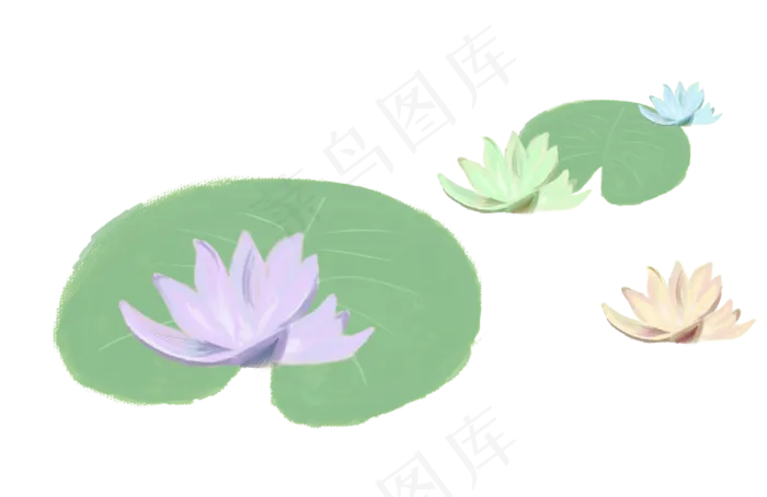 手绘淡雅荷花荷叶组合PNG(3084X2000(DPI:300))psd模版下载