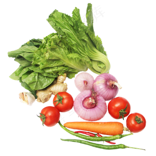 生菜芥菜洋葱番茄姜辣椒胡萝卜