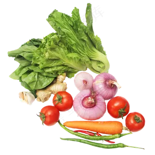 生菜芥菜洋葱番茄姜辣椒胡萝卜