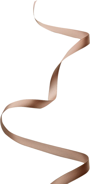 礼盒 彩带 飘带图片 蝴蝶结 礼结