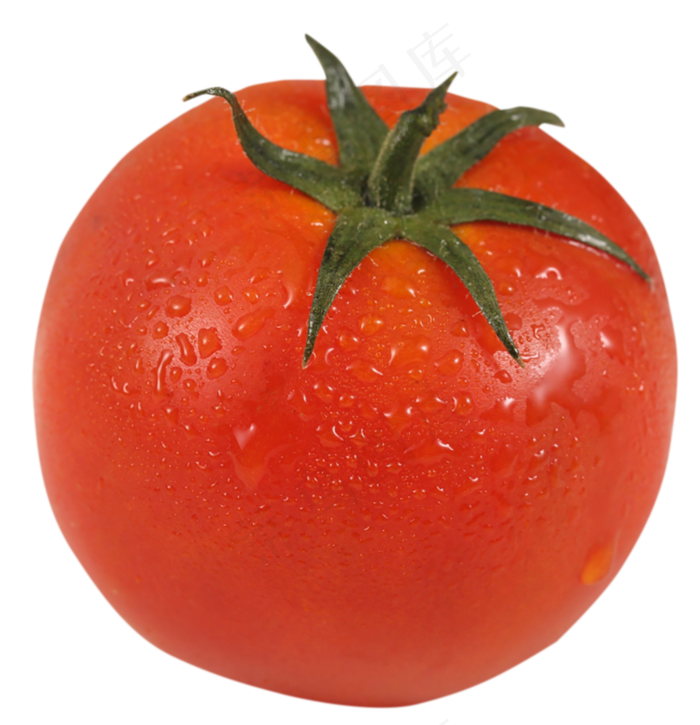 新鲜西红柿