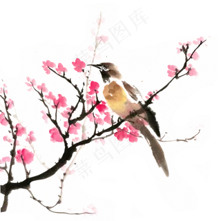 梅花枝头的小鸟