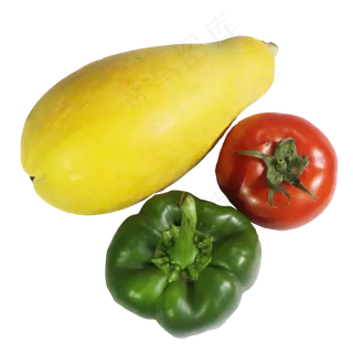 有机蔬菜组合 有机蔬菜组合