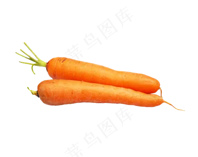 蔬菜黄萝卜