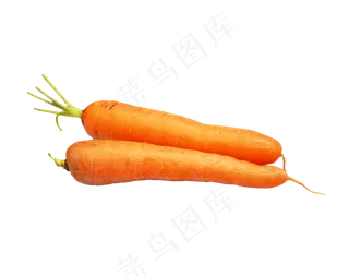 蔬菜黄萝卜