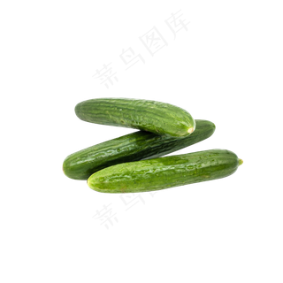 三根黄瓜蔬菜