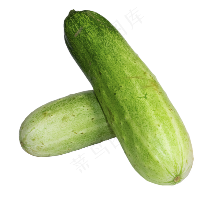 绿色蔬菜西葫芦