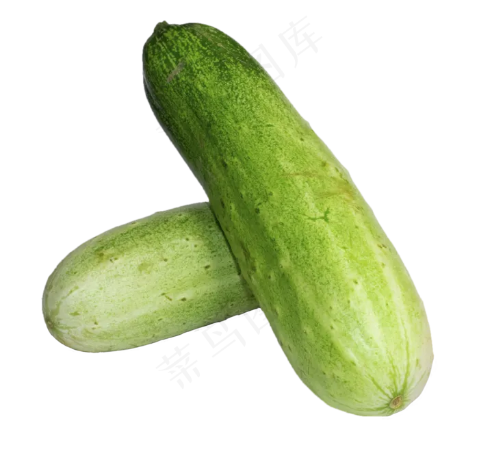 绿色蔬菜西葫芦(2000X2412(DPI:299))