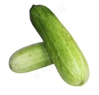 绿色蔬菜西葫芦