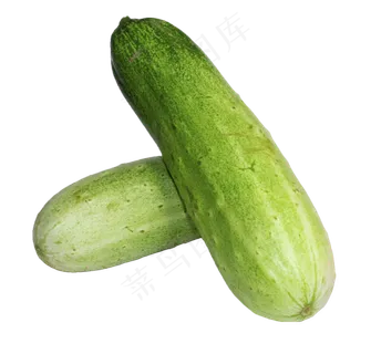 绿色蔬菜西葫芦 绿色蔬菜西葫芦