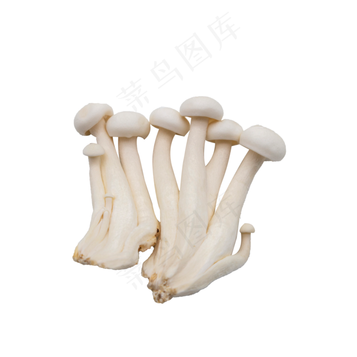 蔬菜白色蘑菇