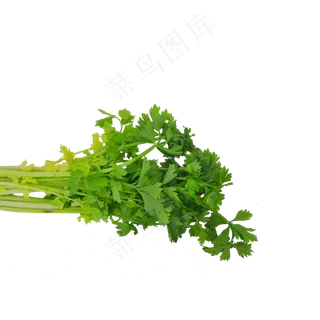 新鲜芹菜