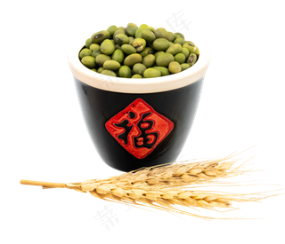 美味绿豆实物