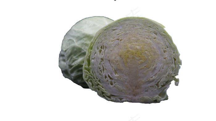 植物卷心菜(2000X1125(DPI:350))psd模版下载