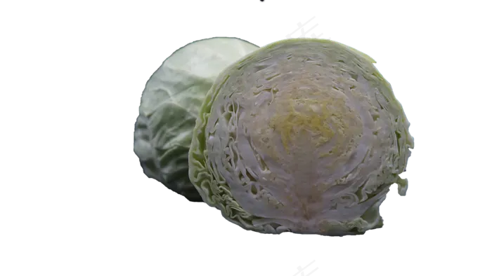 植物卷心菜(2000X1125(DPI:350))psd模版下载