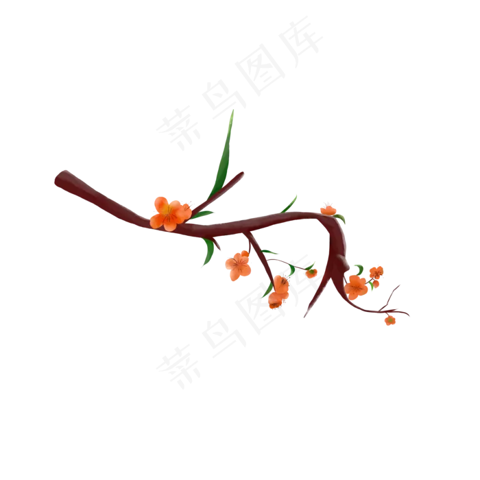 梅花樱花植物(2000X2000(DPI:300))psd模版下载