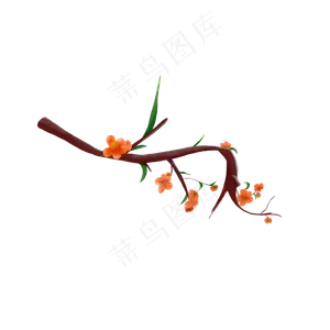 梅花樱花植物