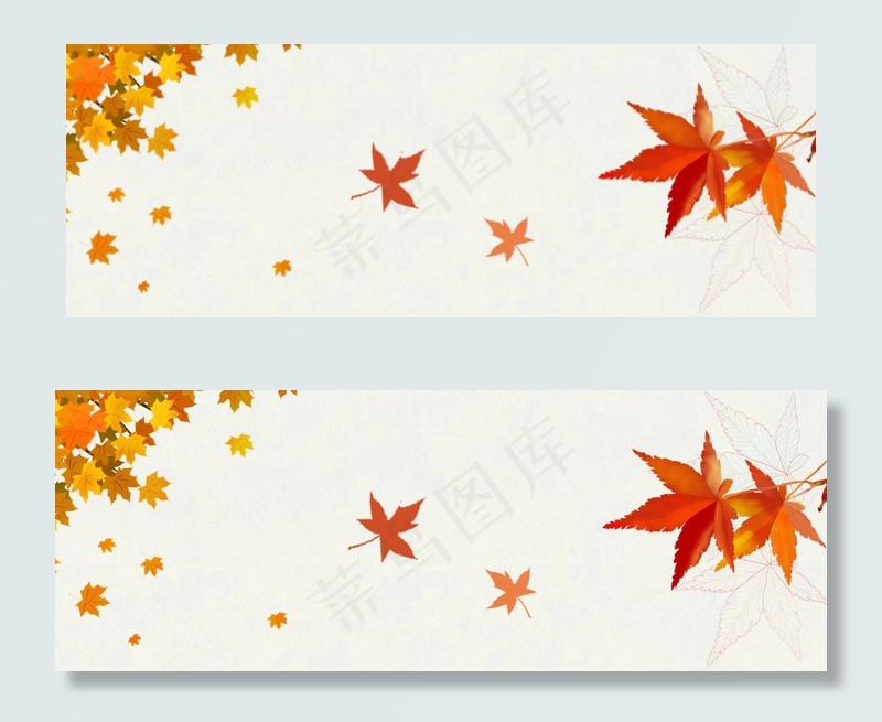 秋天植物花朵落叶浅色banner