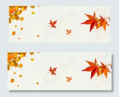 秋天植物花朵落叶浅色banner