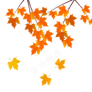 仿真枫树枝 仿真枫树枝