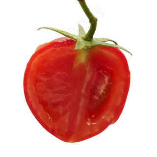 半块番茄蔬菜