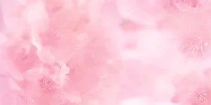 粉色婚礼背景图片