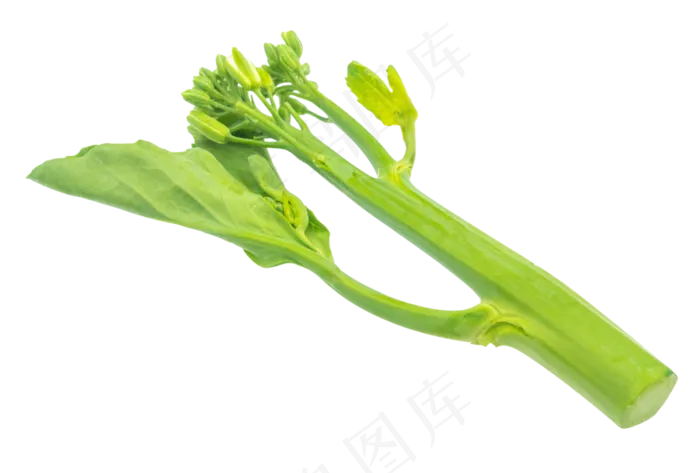 蔬菜绿色菠菜(3000X3000(DPI:300))