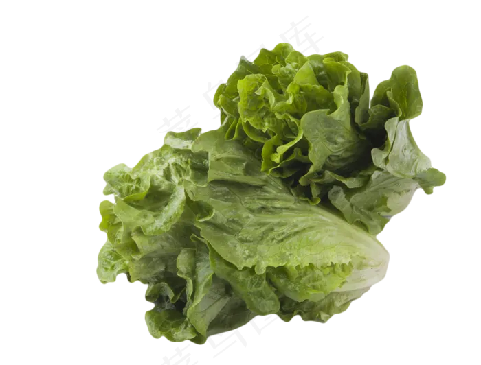 生菜蔬菜(1550X1179(DPI:240))psd模版下载